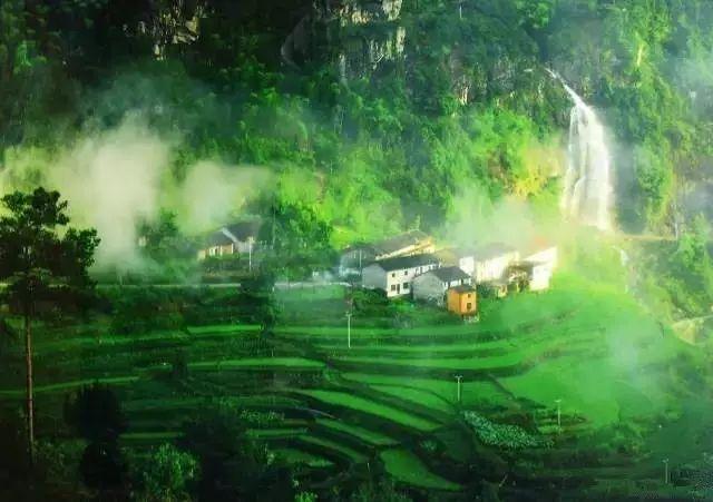 逃离橡子树种植地