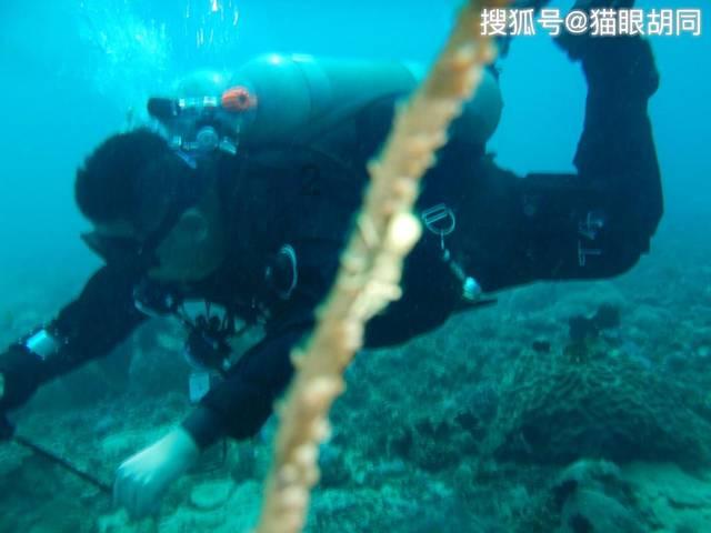 摆动小圆球
