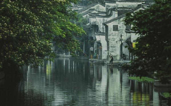 逃离变色龙森林
